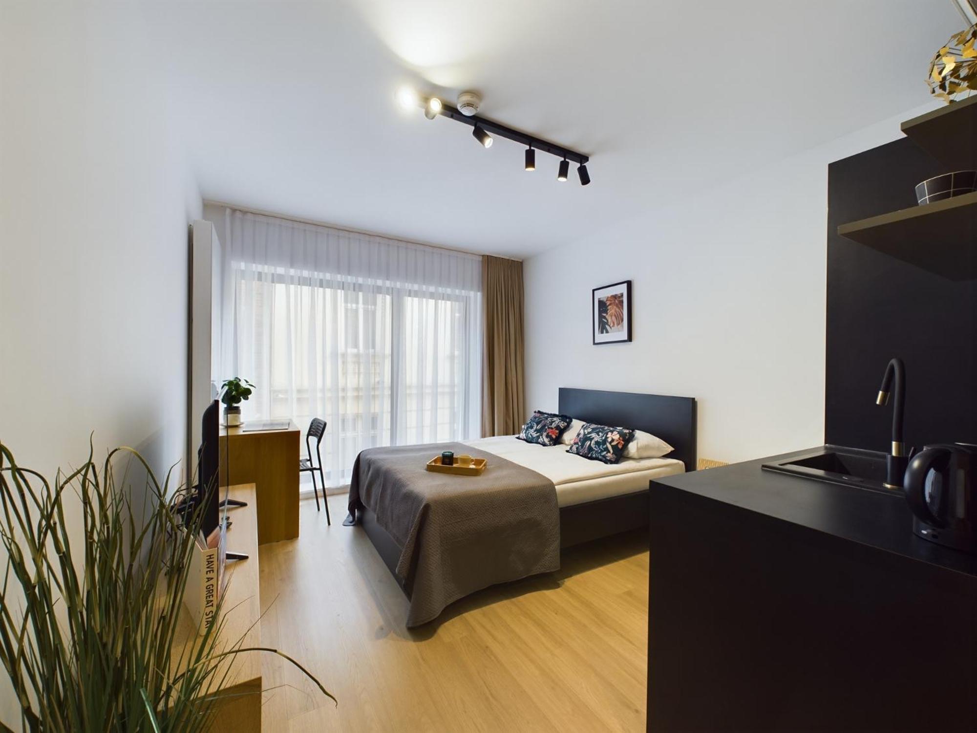 Modern Studios With Air Conditioning In Downtown Krakow By Noclegi Renters Екстер'єр фото